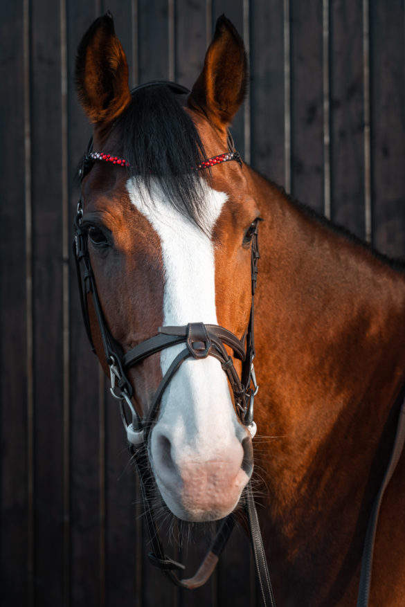 Portrait Lifestyle Fotografie Deutschland